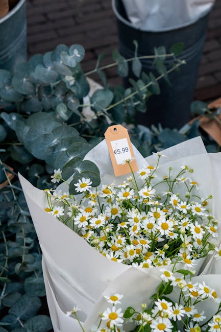 A bouquet of fresh daisies with white petals and yellow centers, arranged in light wrapping paper, resting on a surface with greenery eucalyptus leaves nearby. The daisies are arranged in a loose, nat